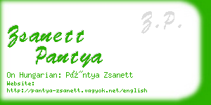 zsanett pantya business card